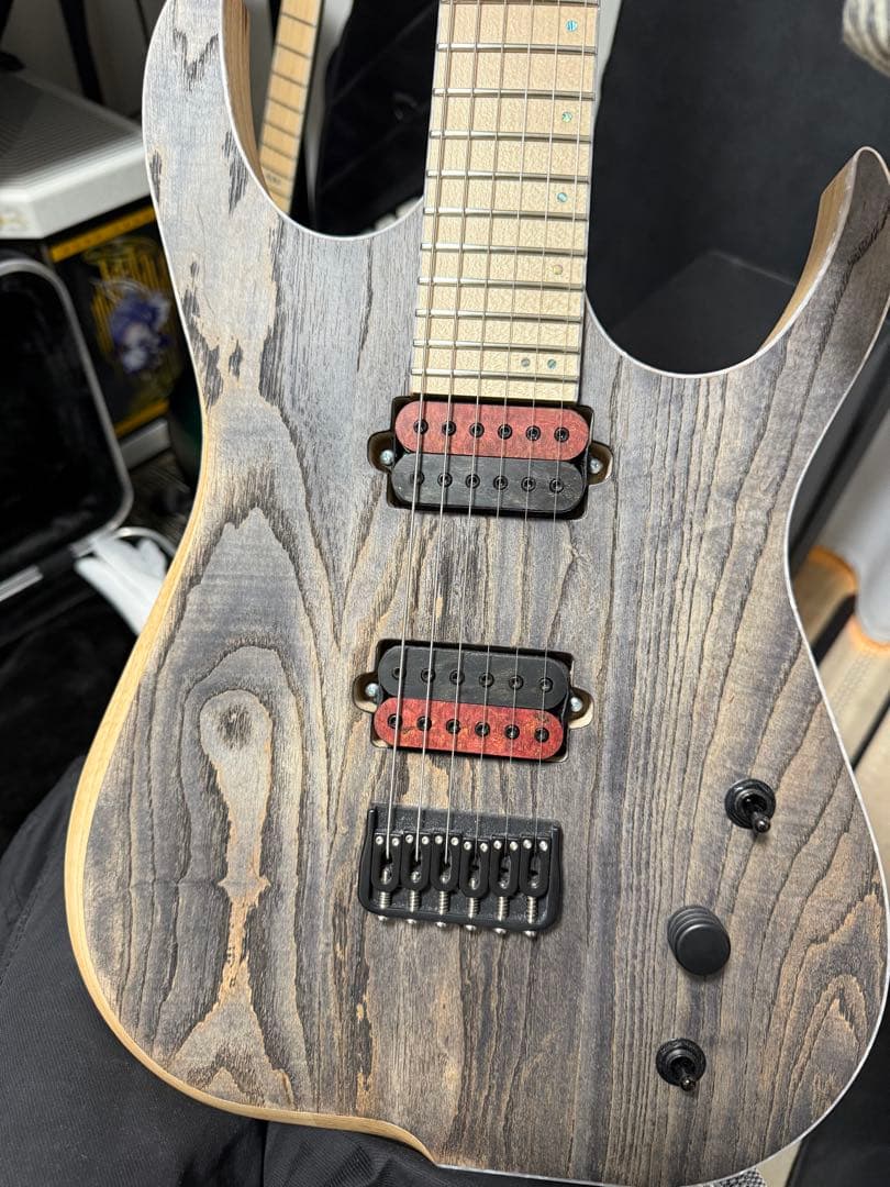 ギター Skervesen Velociraptor 6 2023