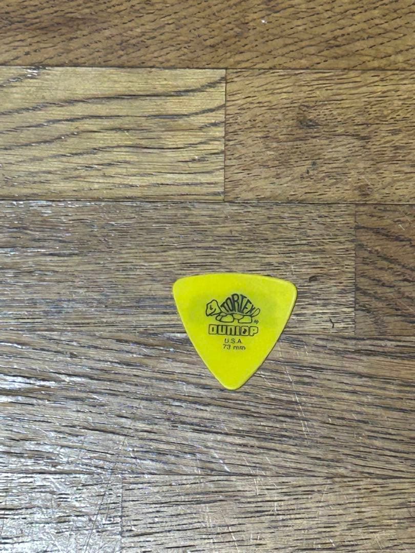 GLIM SPANKY 亀本使用済みピック