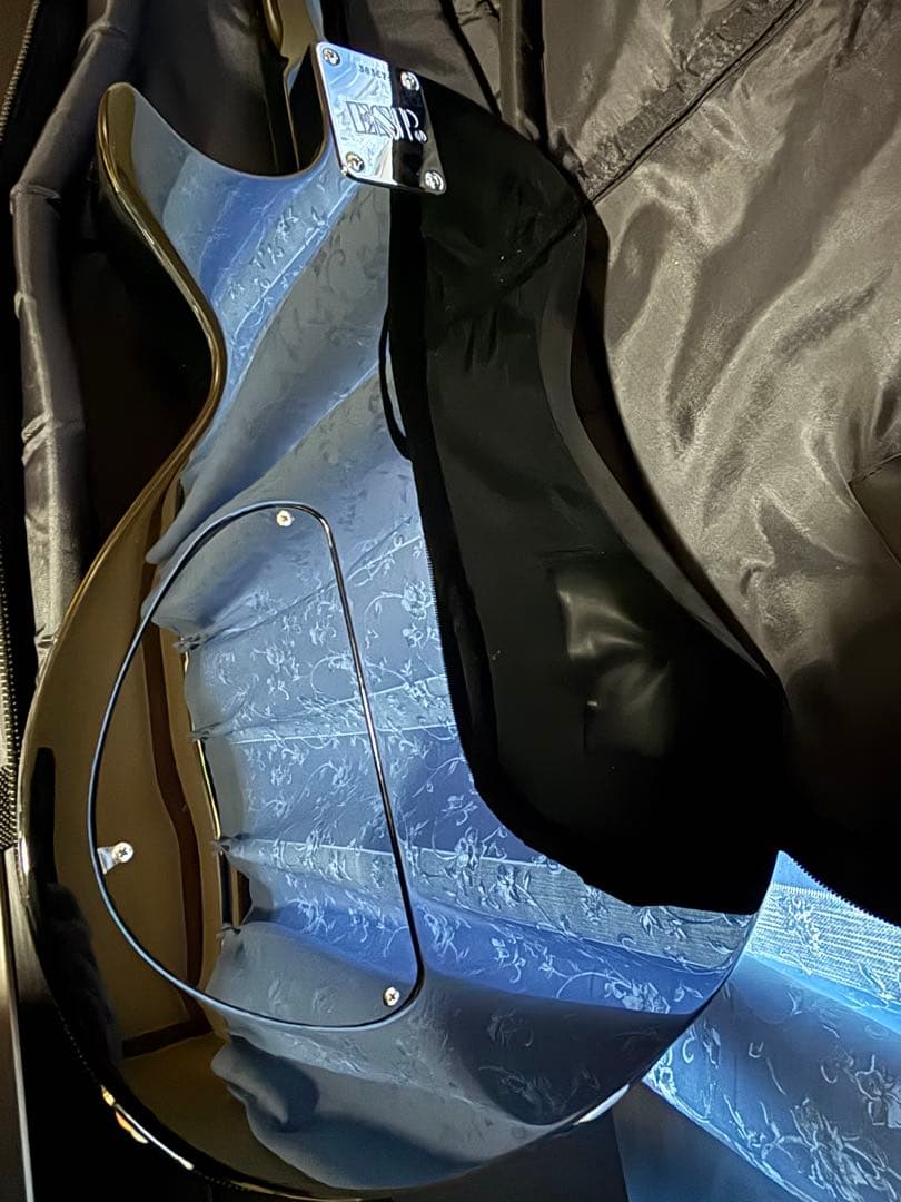 ESP カスタムオーダー　レスポールエレキギター