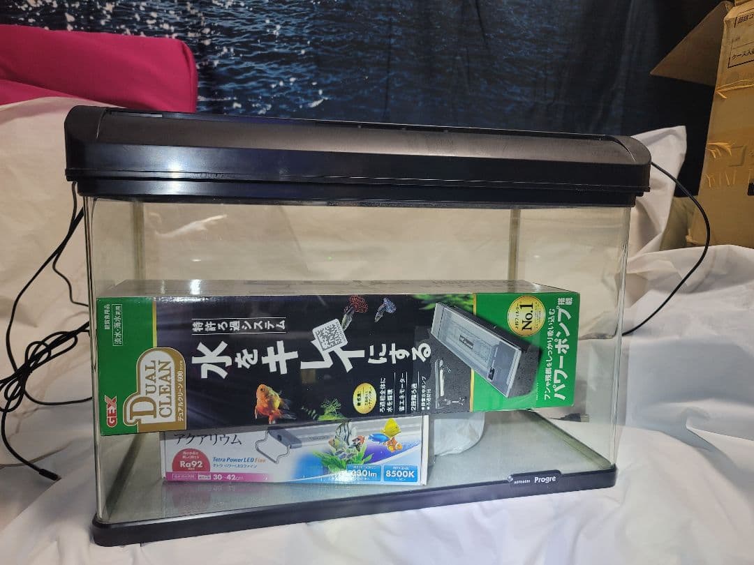 KOTOBUKI Progre 曲げガラス水槽60