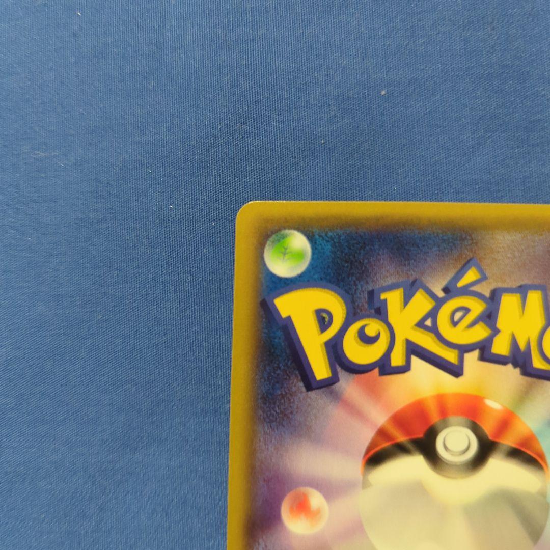 ポンチョを着たピカチュウ XY プロモ