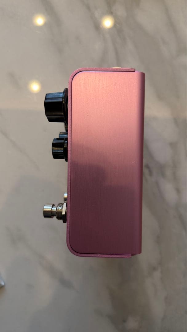 【特価】Strymon DIG v1