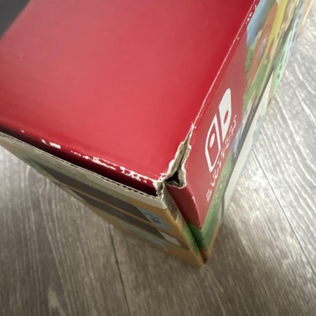 Nintendo Switch あつまれどうぶつの森セット　あつ森　フィルム付き