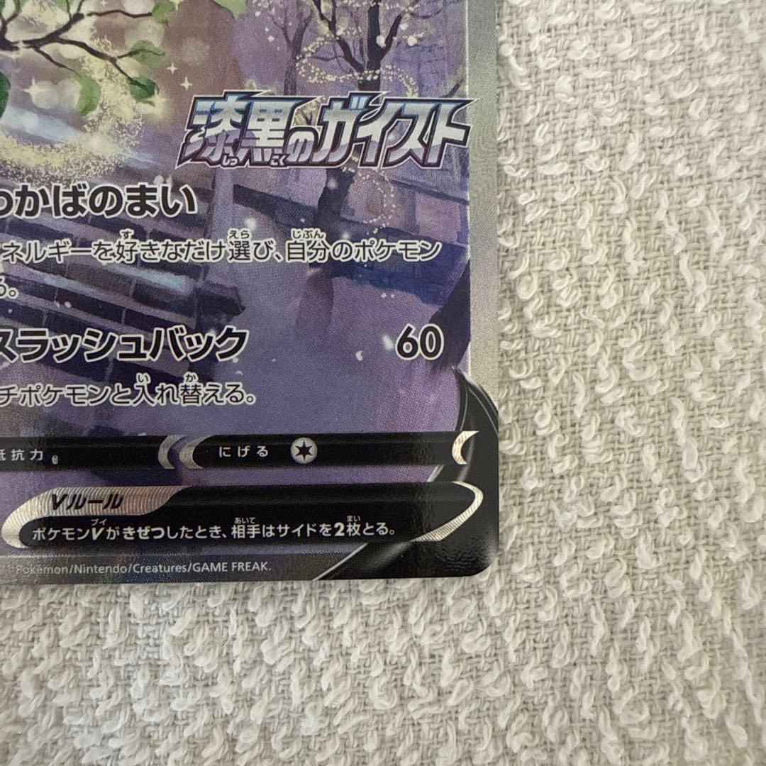 セレビィV SA