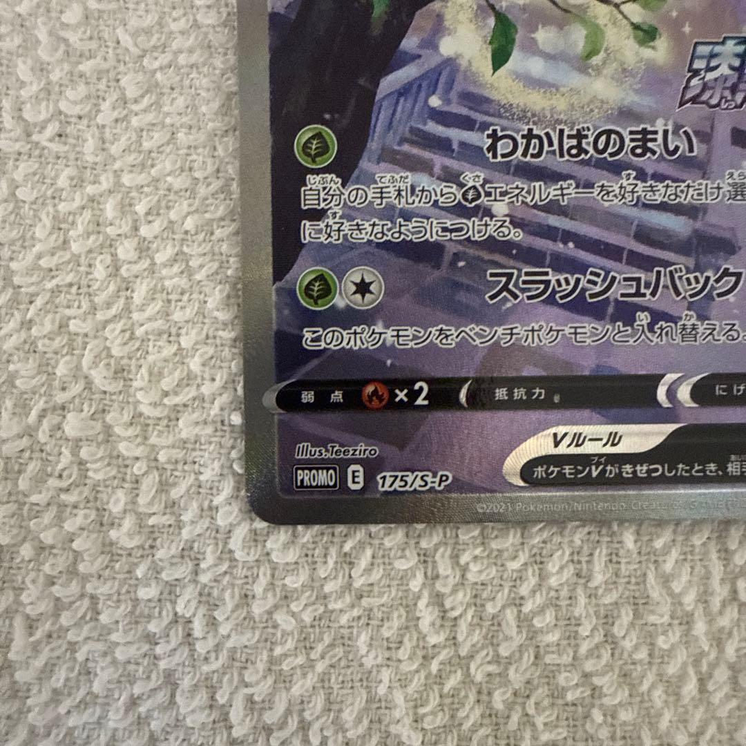 セレビィV SA