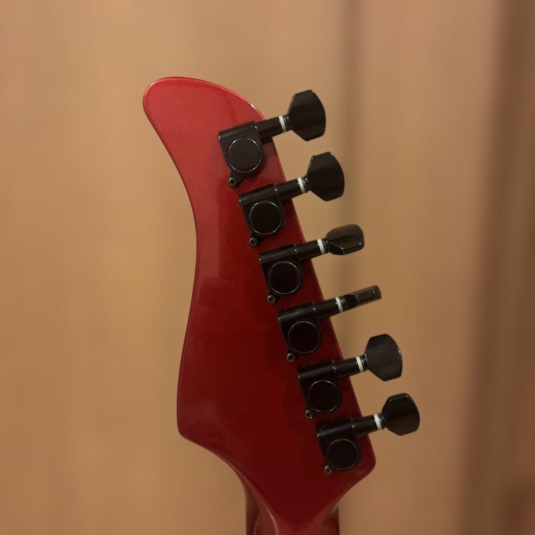 金ロゴ FERNANDES FR-55 アクティブ トレモロアーム・ケース付