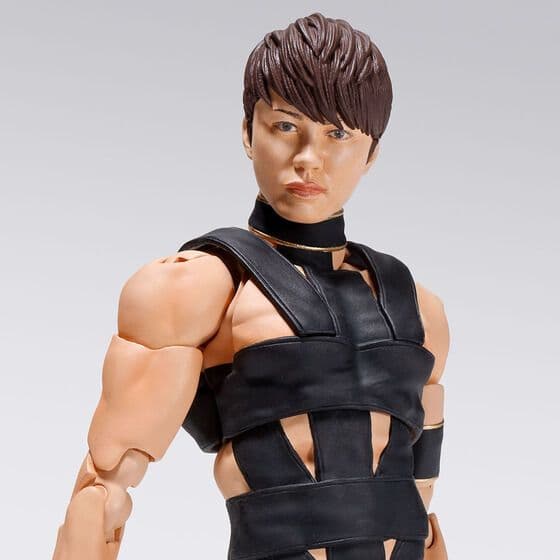 S.H.Figuarts T.M.Revolution（西川貴教）【開封未使用】