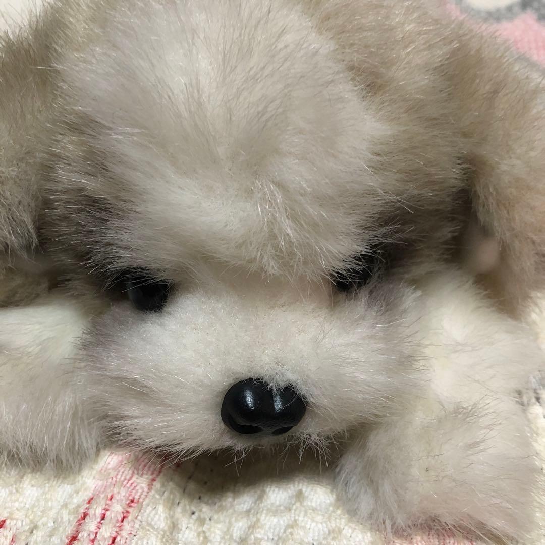 四季オリジナル　ぬいぐるみ　シーズー　犬　中古品　寝そべりポーズ