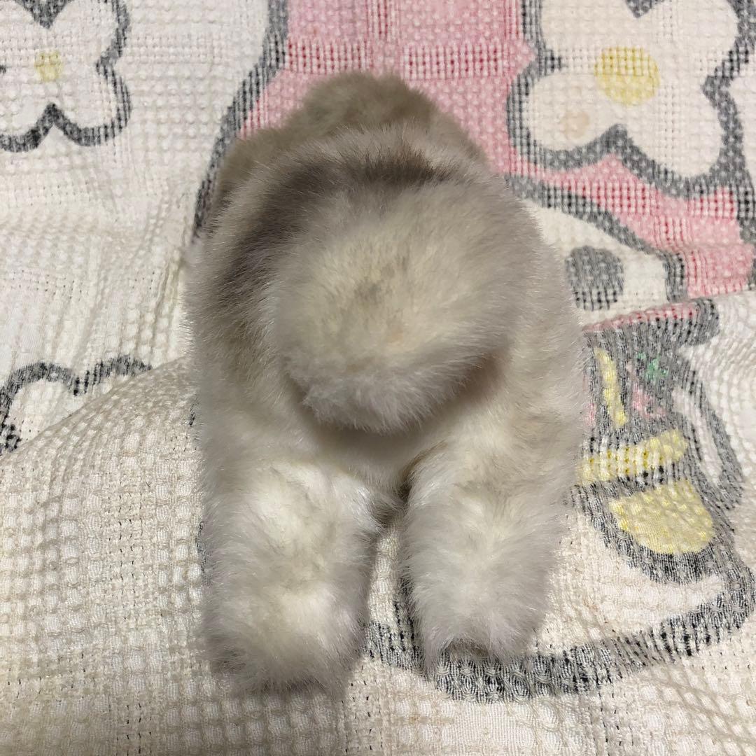 四季オリジナル　ぬいぐるみ　シーズー　犬　中古品　寝そべりポーズ