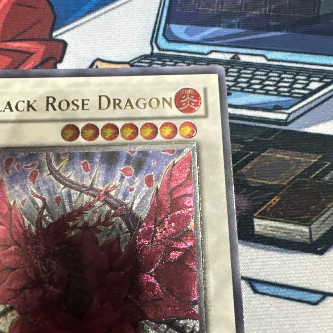 遊戯王　ブラックローズドラゴン　レリーフ　英語版　アンリミテッド