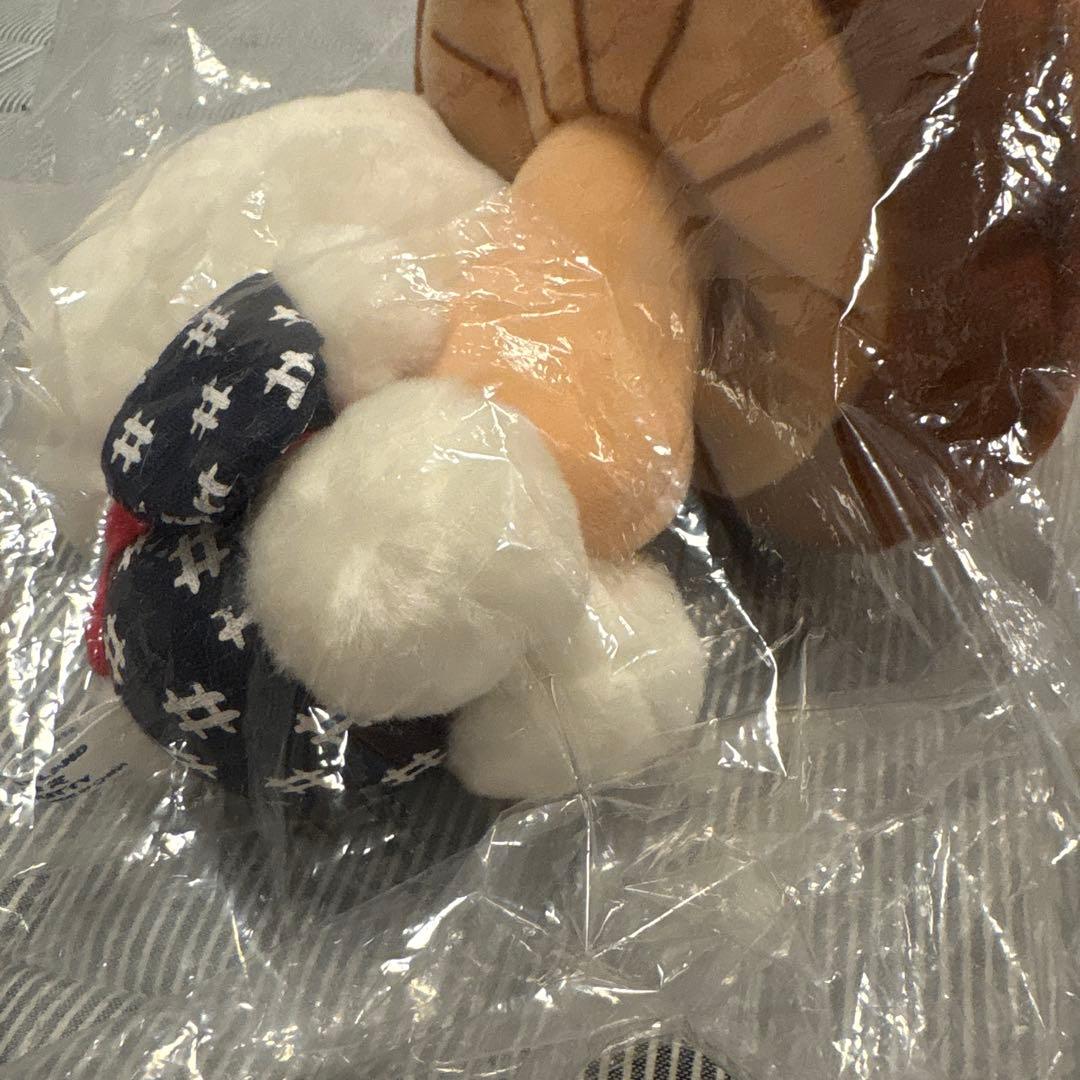 ご当地キティ　しいたけ　ぬいぐるみ　キーホルダー　まとめ売り