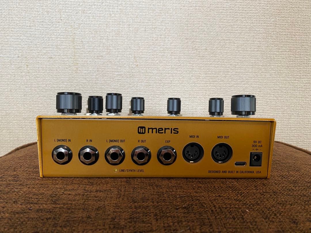 ギター Meris Enzo X