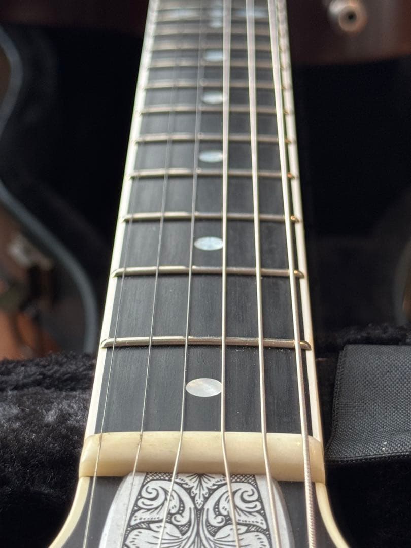 Zemaitis CS24PF RING CHESS エレキギター　ゼマイティス