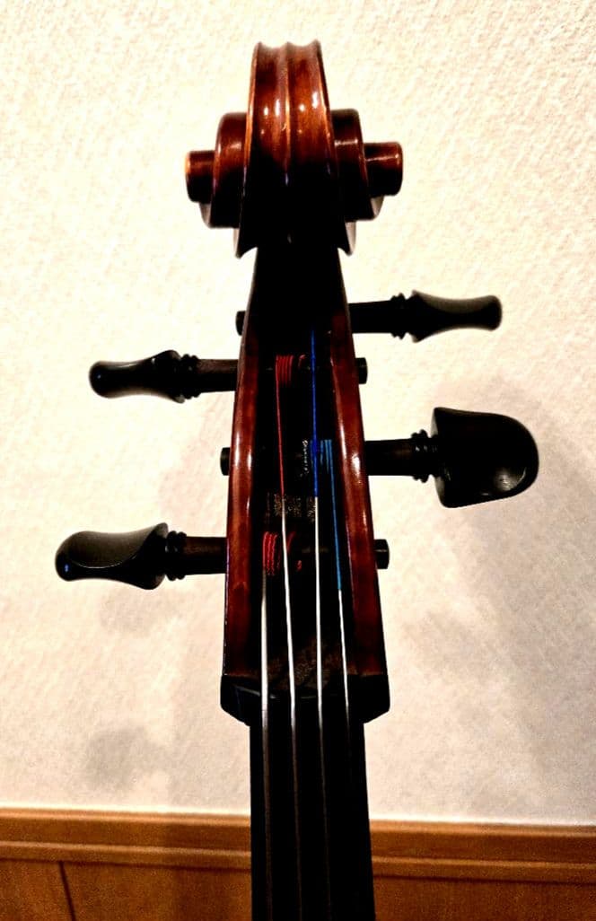 弦楽器 3104