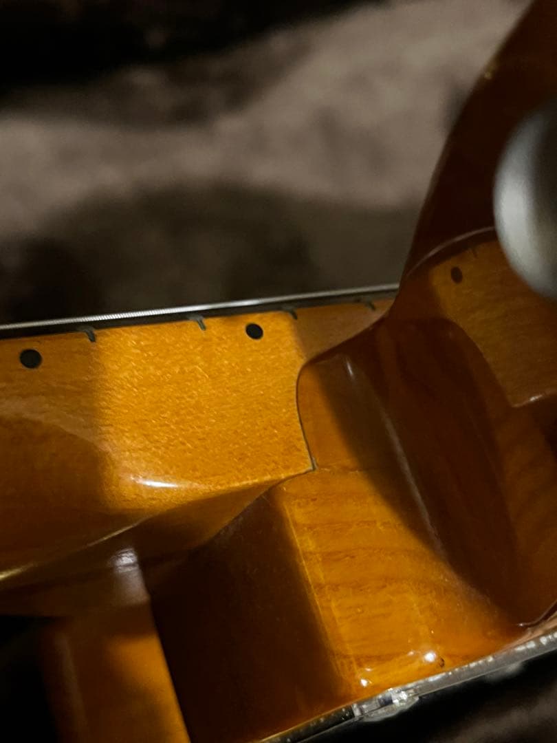 Momose テレキャスター 初期3桁シリアル