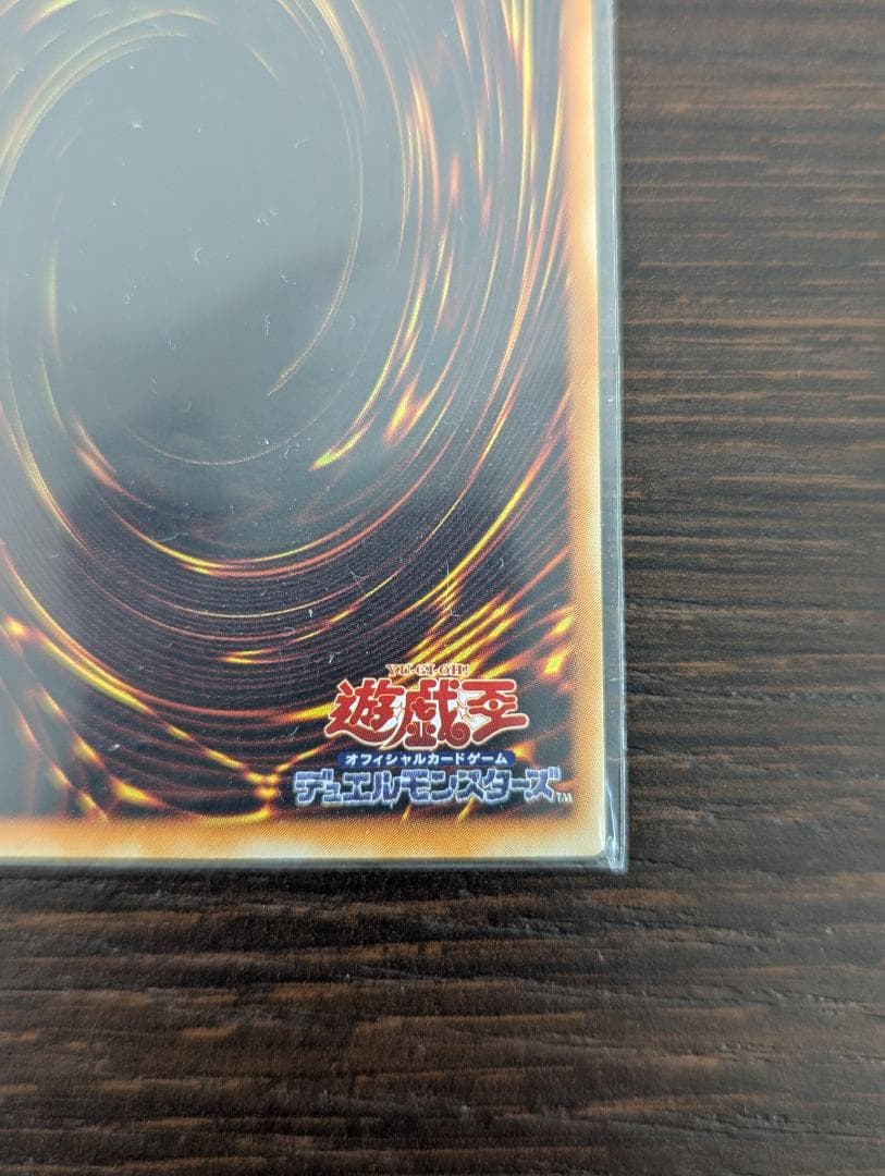 竜騎士ガイア