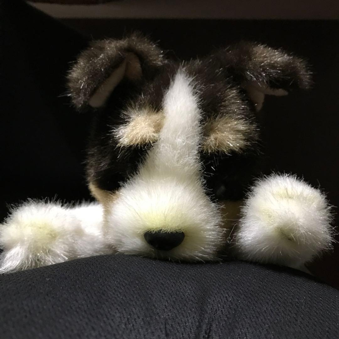 ぬいぐるみ　犬　いぬ　シェルティー　仔犬　サンアロー　レトロ❣️