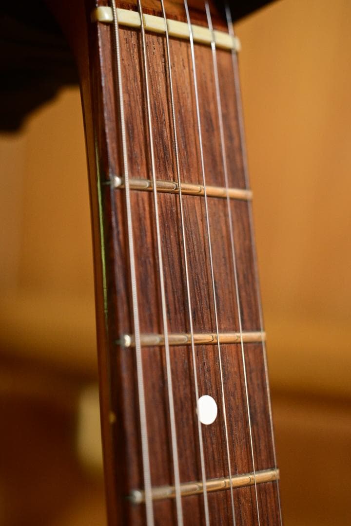 ギター Fender USA Dan Smith Stratocaster