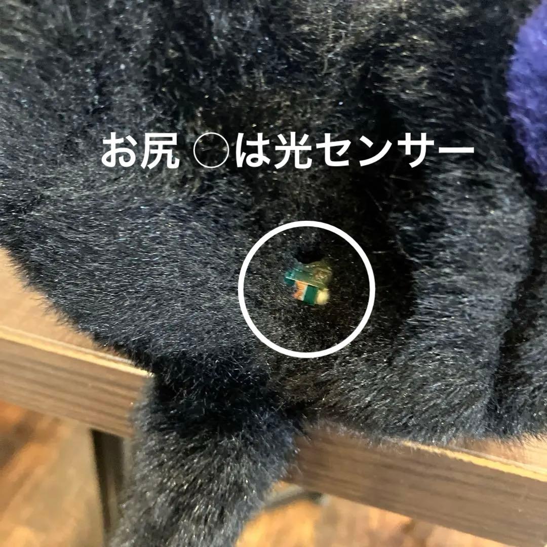 ダヤン ぬいぐるみ チップ