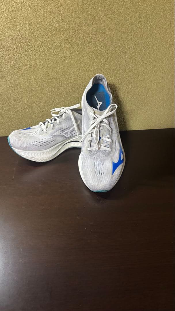 mizuno ウェーブリベリオンプロ　ナチュラル　25.5cm