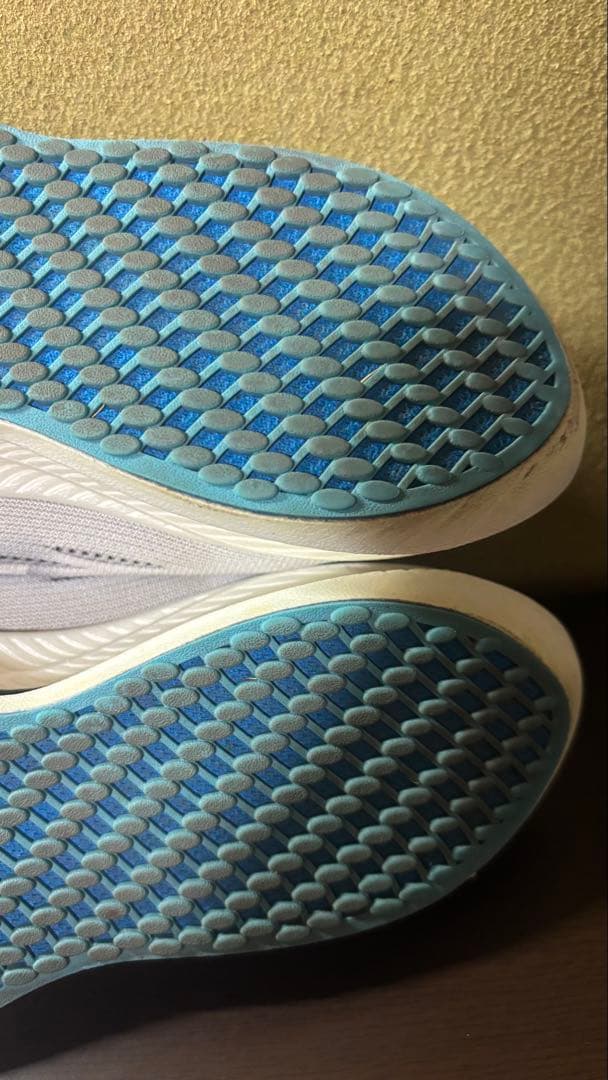 mizuno ウェーブリベリオンプロ　ナチュラル　25.5cm