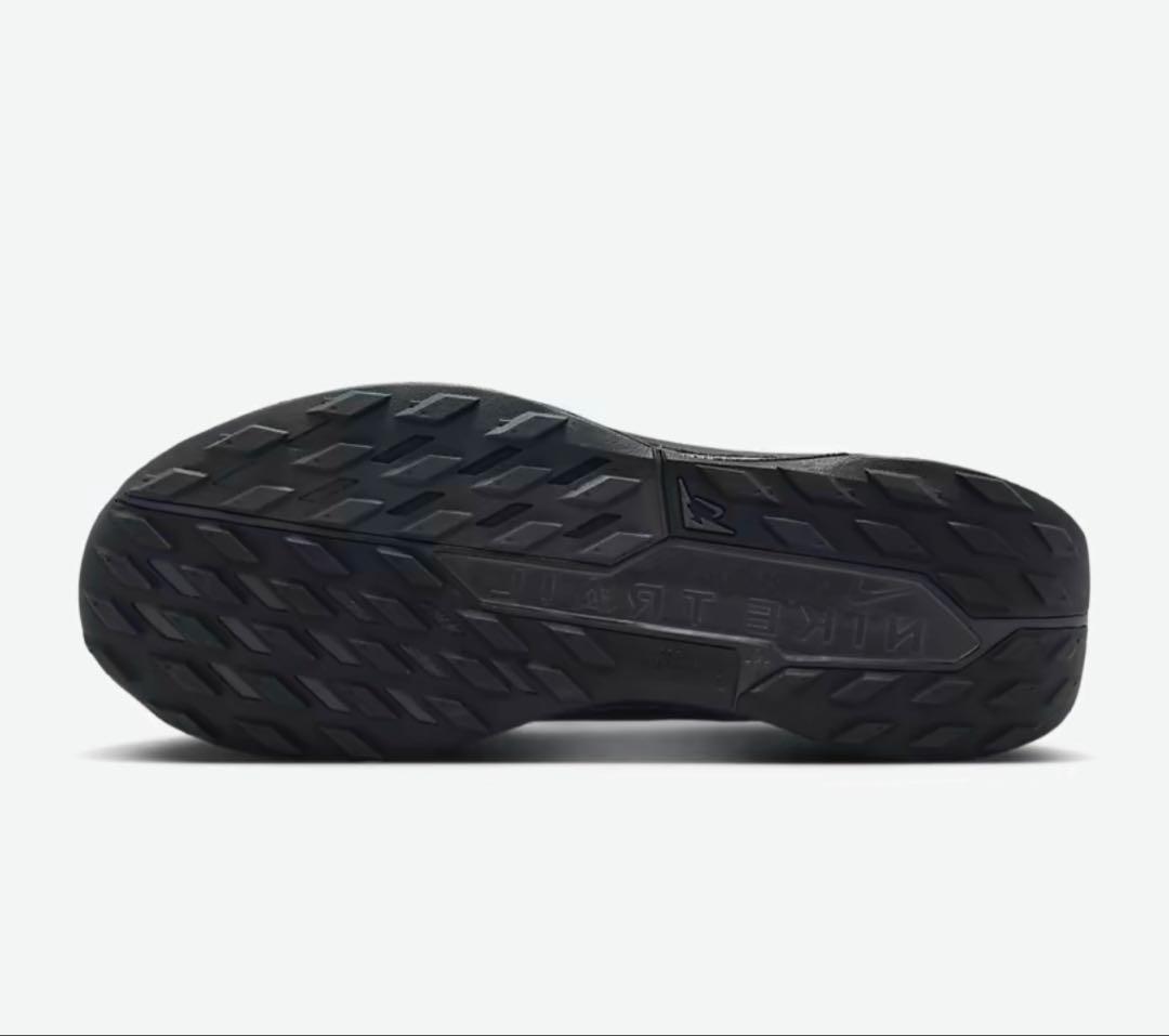 ナイキ ペガサス トレイル 5 GORE-TEX 27.5㎝