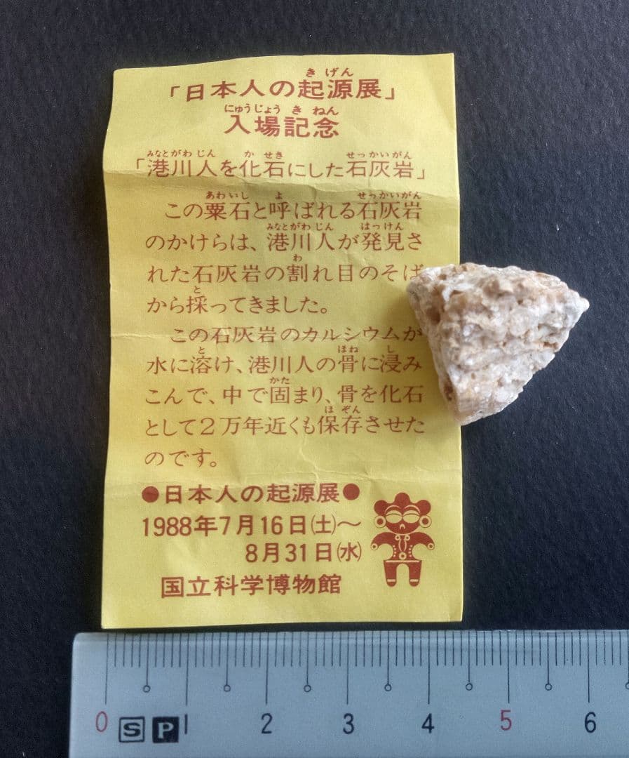 三葉虫他化石