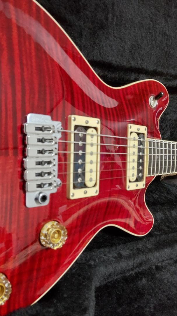 【T's Guitars】Arc-STD / VS100N