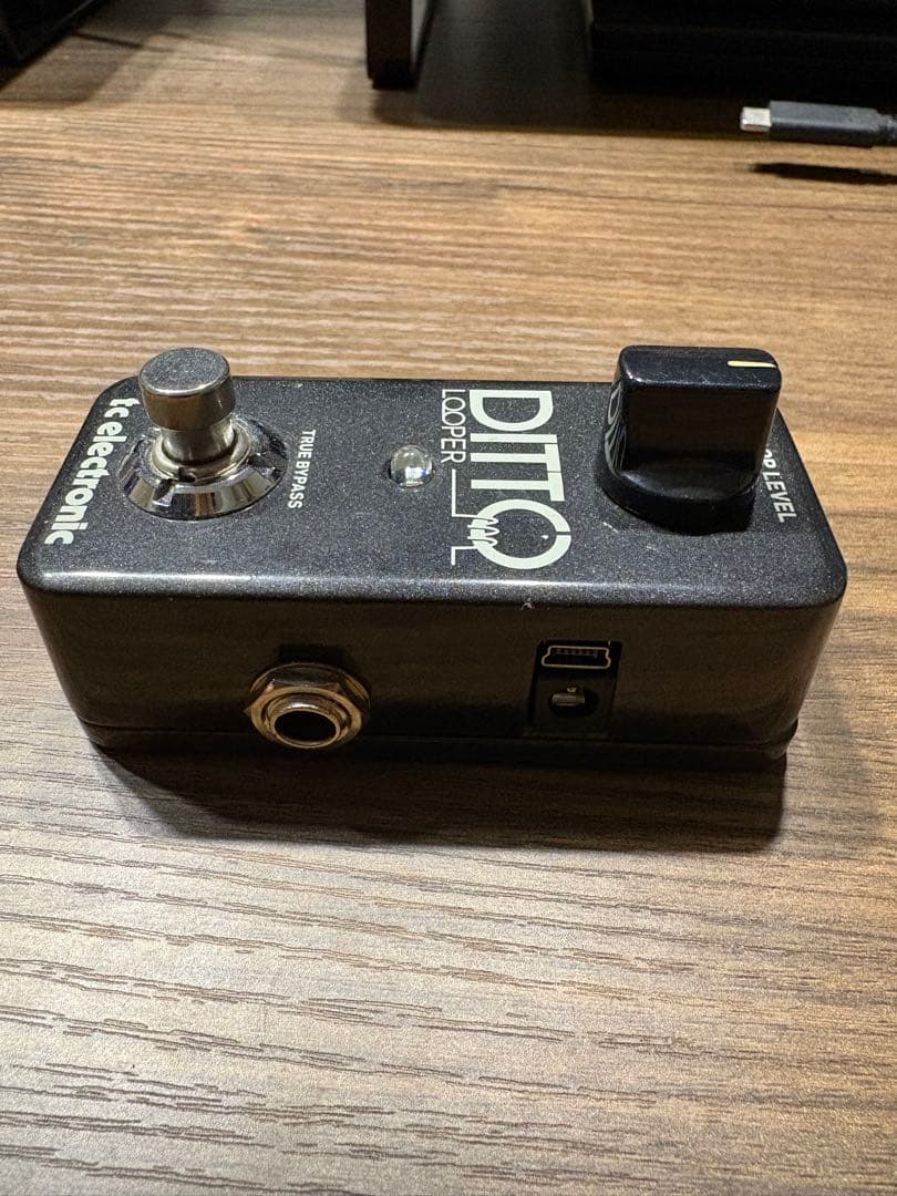 【箱あり】DITTO LOOPER