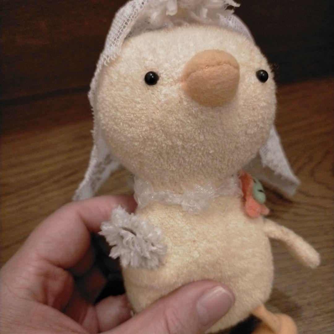 はちこ
