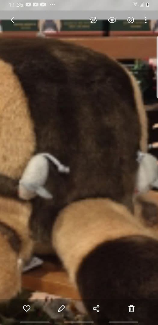 となりのトトロ猫バス新品未使用♪
