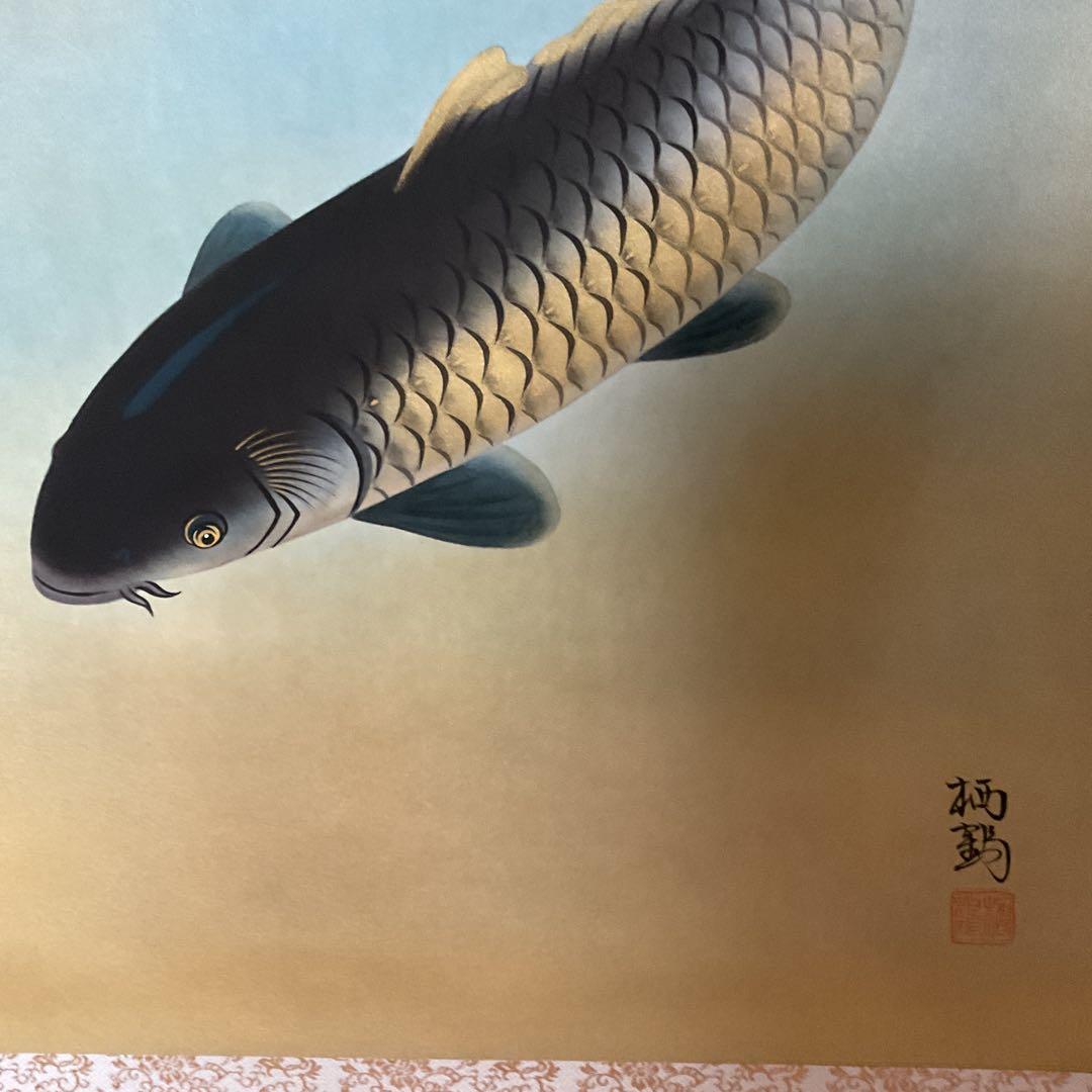 鯉の日本画 掛け軸 遊鯉図 栖 鶴 筆 【共箱】
