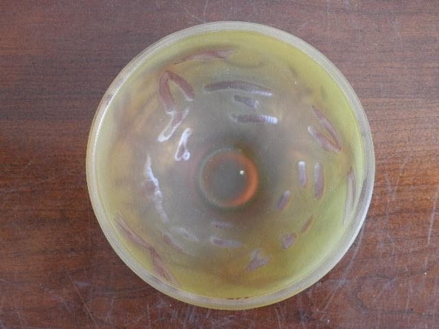 ガレ―？　茶碗　トンボ図　M560