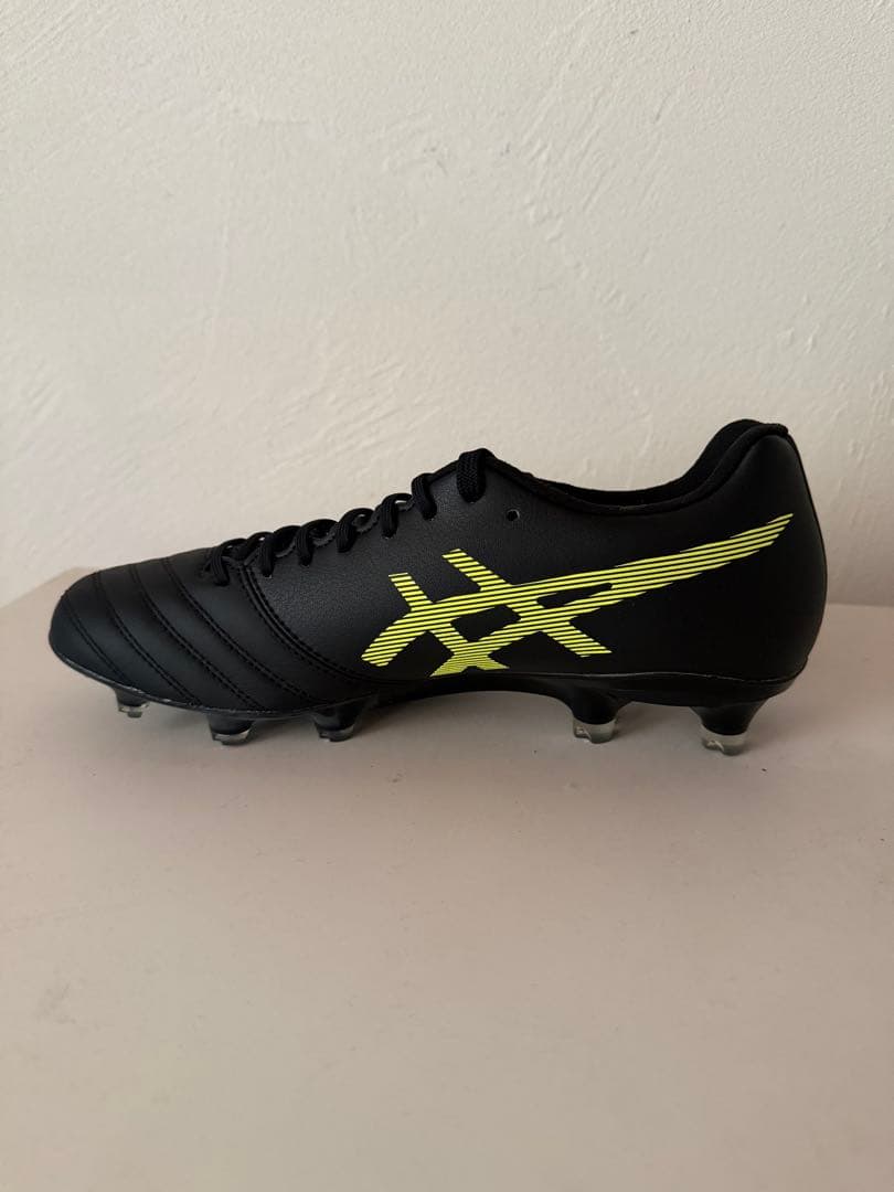 値下げしました！新品asics DS LIGHT X-FLYPRO 24.5cm