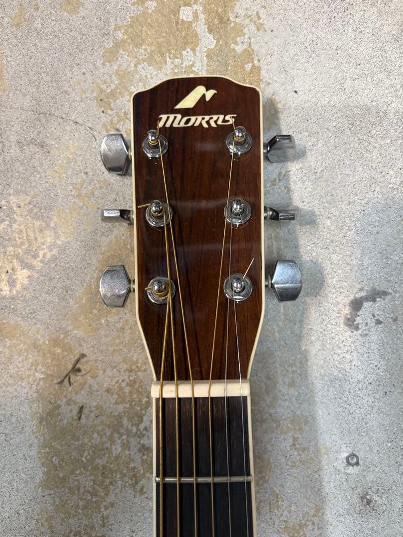 【美品・希少】Morris MF-601ハカランダモデル　弦張り替え済