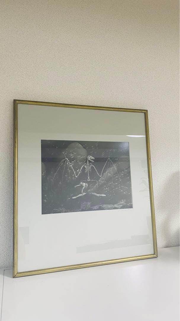 内藤忠行　写真原画　蝙蝠　オリジナル