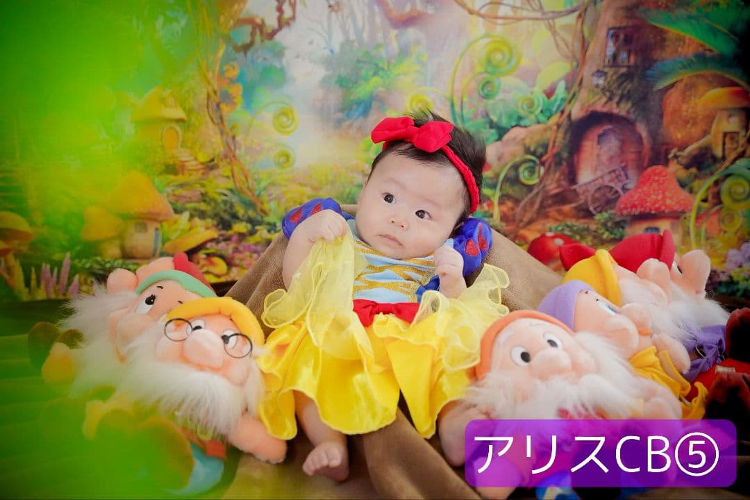 背景布【秋XB】サンプル　ペット撮影用ブース　パンパスグラス　ドライフラワー