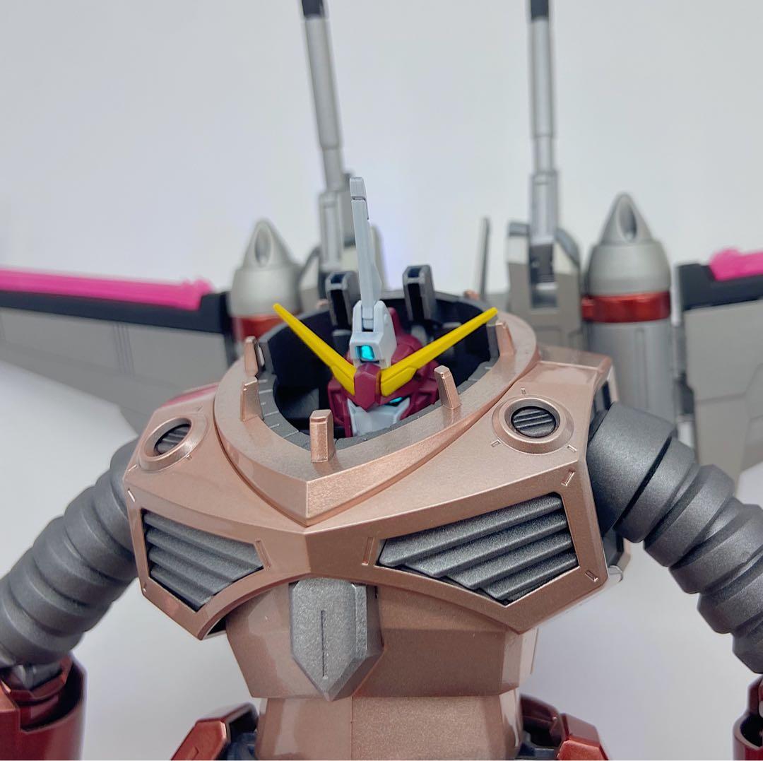 HG ズゴック 機動戦士ガンダムSEED FREEDOM 全塗装　完成品