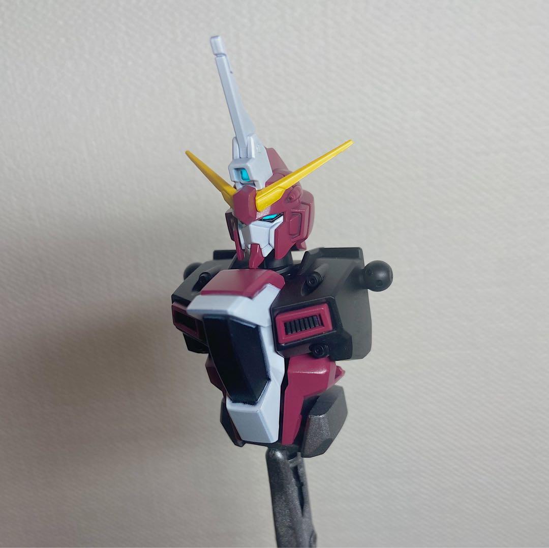 HG ズゴック 機動戦士ガンダムSEED FREEDOM 全塗装　完成品