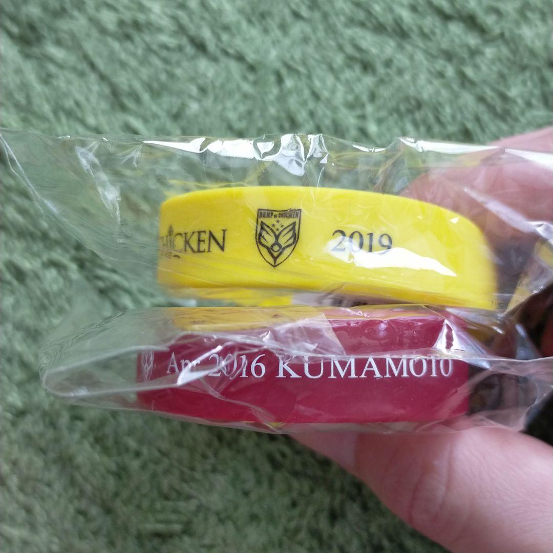 おまけ付✳BUMP OF CHICKEN✳aurora　ark✳グッズセット