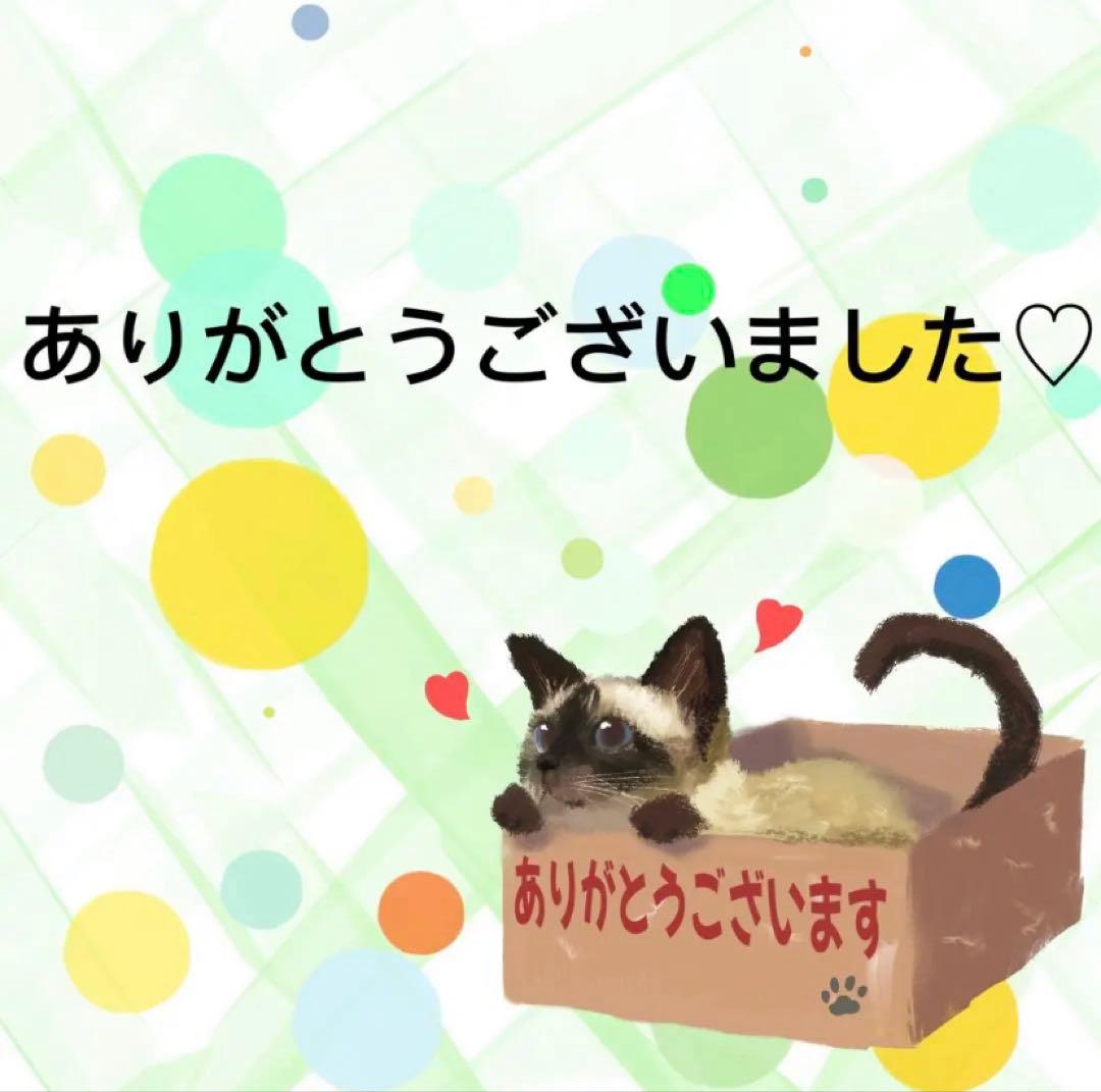 【9164】海外　マステ　中古巻　貝殻光マスキングテープ　人物系　女の子