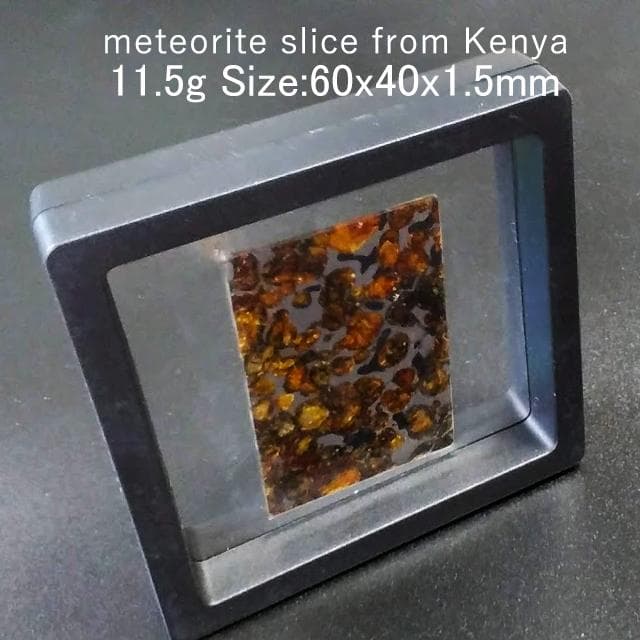 11.5g　パラサイト隕石　セリコ隕石　鉱物標本　隕石