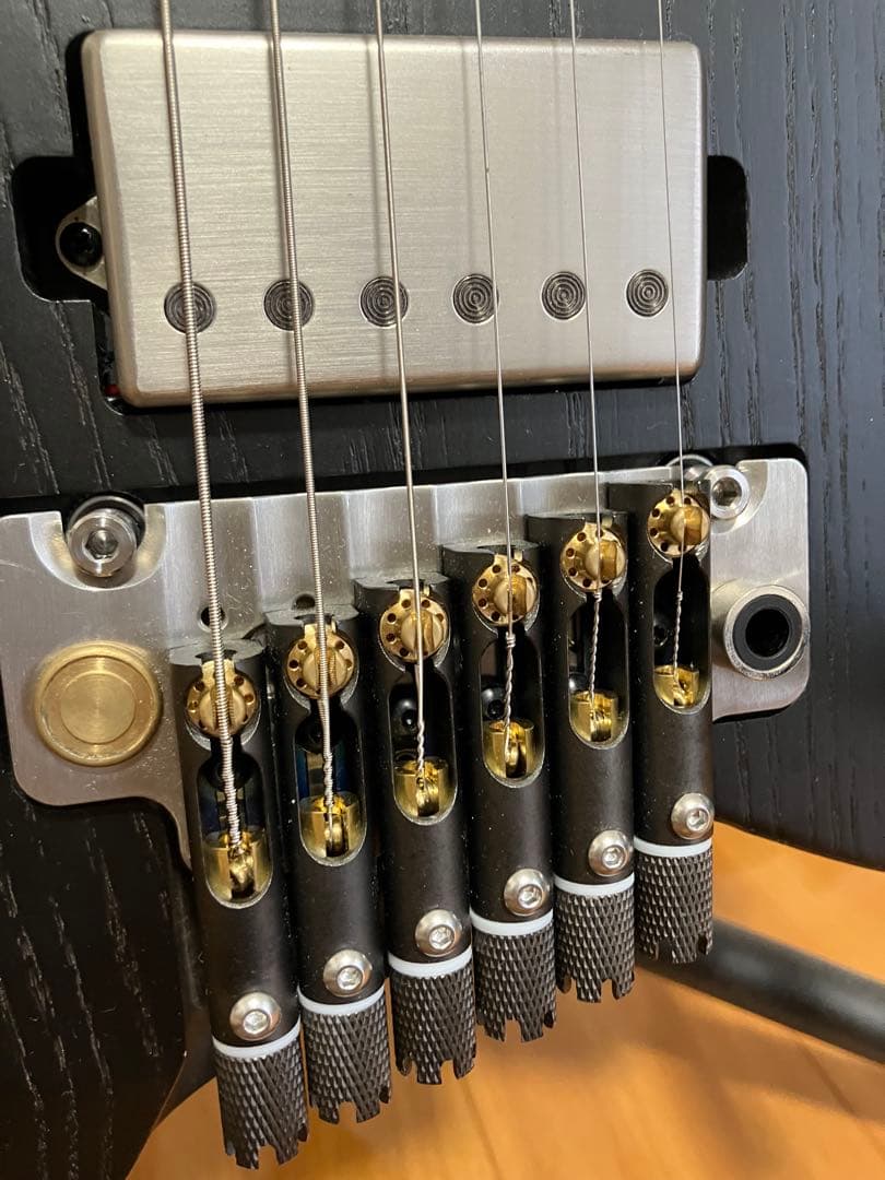 ギター GOC Guitars ILUMINA