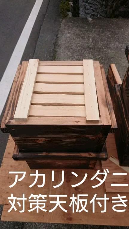 蜜蜂巣箱3段監視扉付