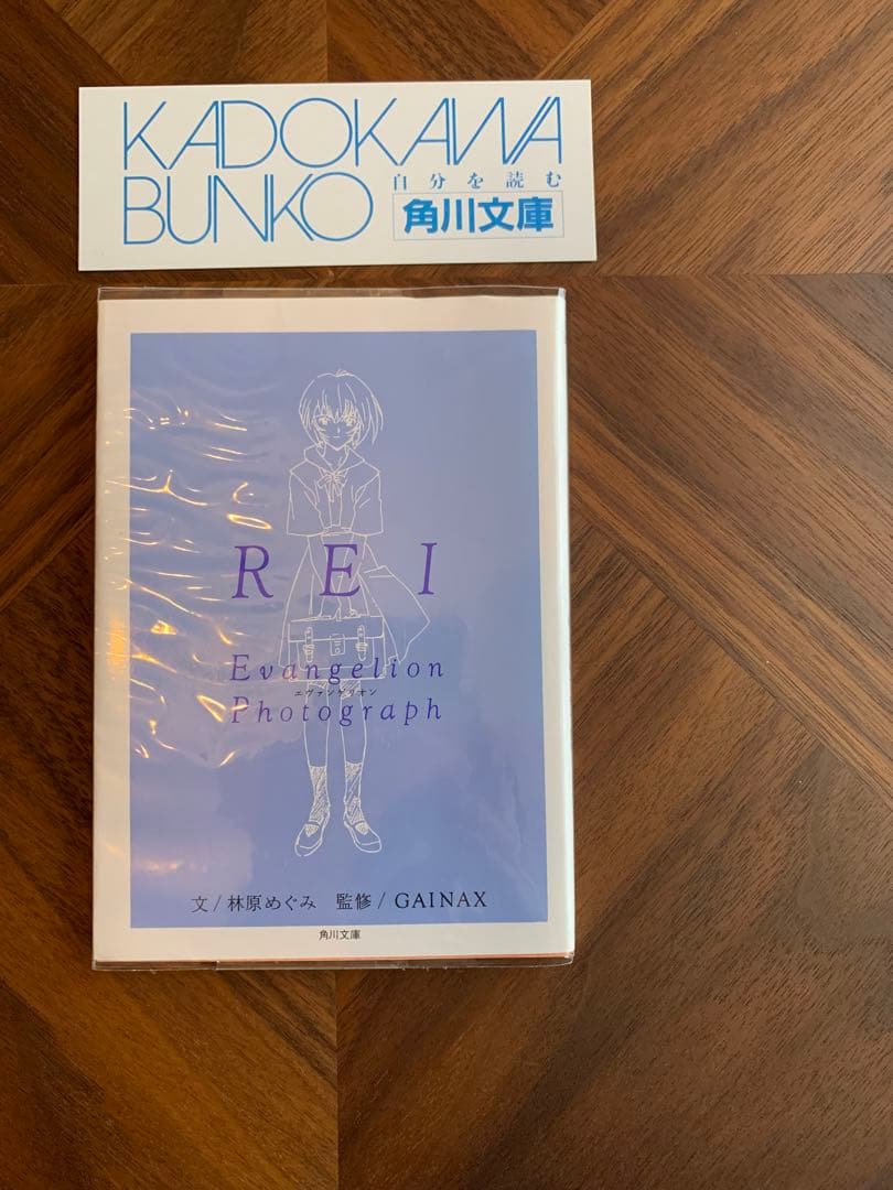 ⭐️エヴァンゲリオン　フォトグラフ　REI