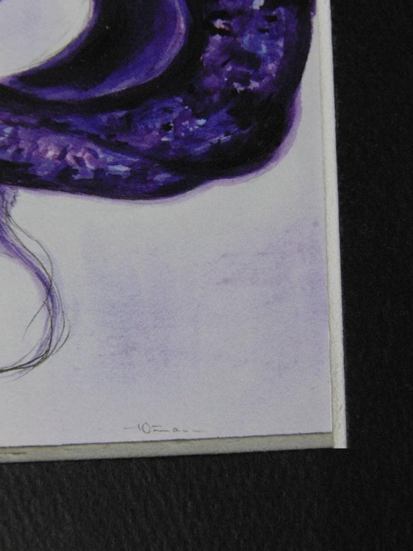 天野喜孝、【La nebbia violetto】、希少な額装用画集より