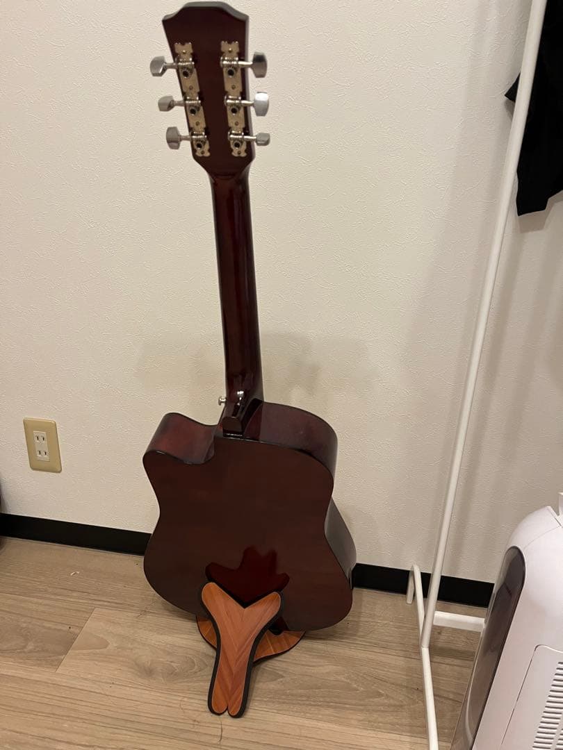 アコースティックギター　希少