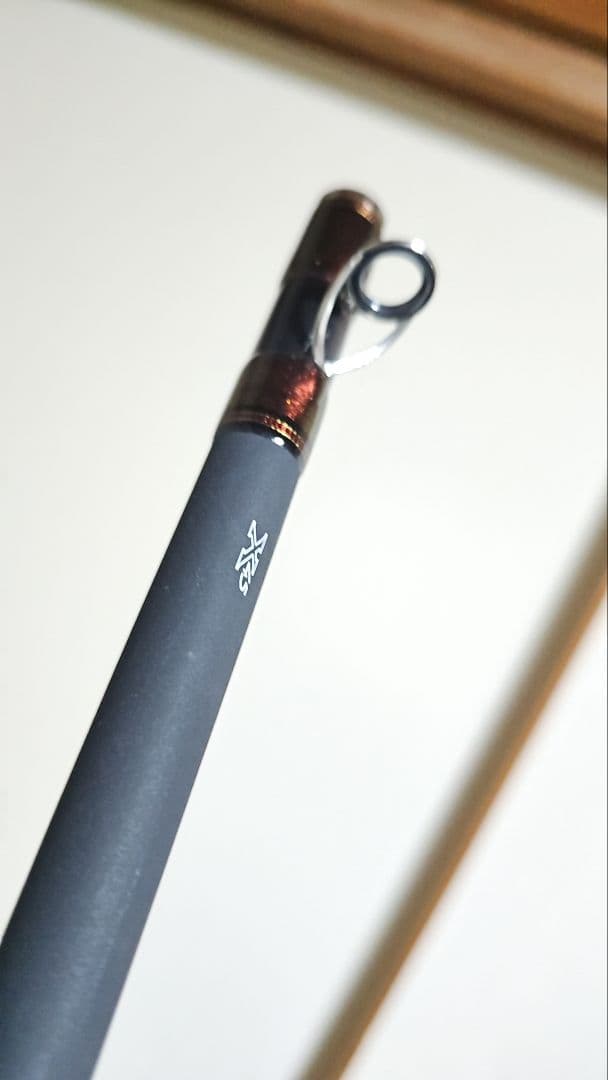 週末値下げ！！実釣2回超美品！DAIWA ANALYSTAR スミイカ 210