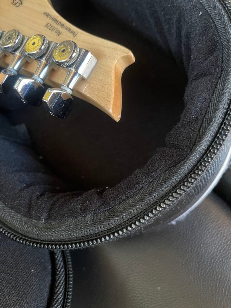 【激レア】G-Life Guitars DSG Classic ロイヤルブルー