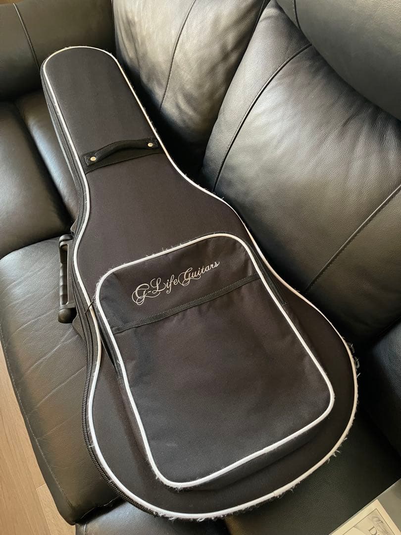 【激レア】G-Life Guitars DSG Classic ロイヤルブルー